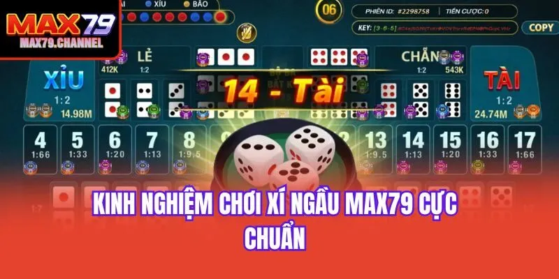 Kinh nghiệm chơi xí ngầu Max79 cực chuẩn